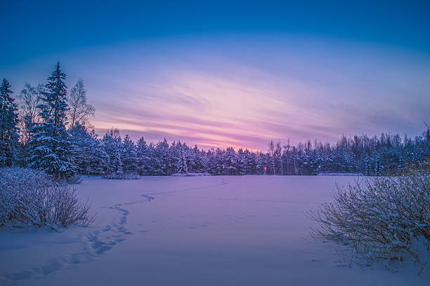 cold and snowy winter scene